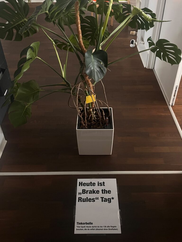 Eine Pflanze steht auf dem Flur. Davor liegt ein Plakat.